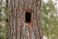 Old Indian Trail-28
