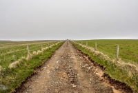 Orkney 2018-26