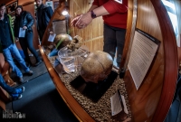 Orkney 2018-46
