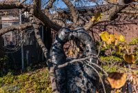 Pewabic-Pottery-Detroit-2025-5