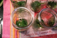 Pickle Time 2014