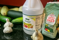 Pickle Time 2014