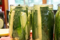 Pickle Time 2014