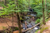 Pictured Rocks - Chapel Falls to Mosquito Falls hike