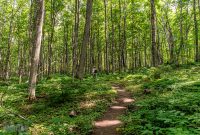 Pictured Rocks - Chapel Falls to Mosquito Falls hike