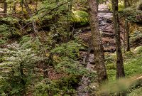 Pictured Rocks - Chapel Falls to Mosquito Falls hike