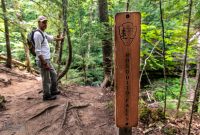 Pictured Rocks - Chapel Falls to Mosquito Falls hike