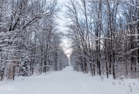 Pictured Rocks Snowshoe - U.P. Winter - 2014 -21