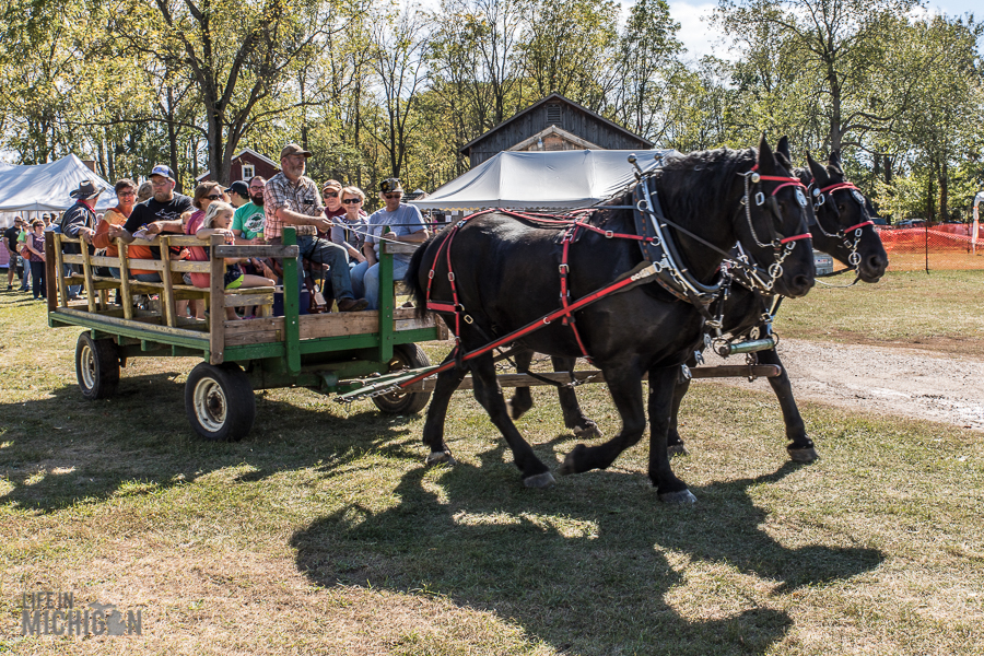 Pioneer Day at the Waterloo Farm Museum - 2017-98