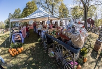 Pioneer Day 2017-11