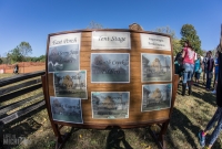 Pioneer Day 2017-13