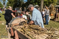 Pioneer Day 2017-80