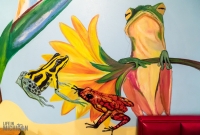 Poison Frog Brewing -17