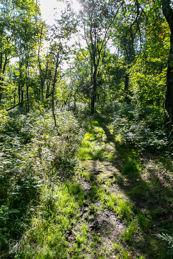 Porcupine Mountains 2014