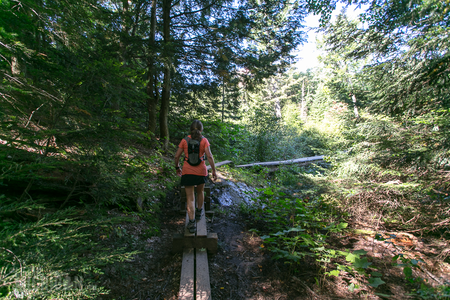 Porcupine Mountains 2014