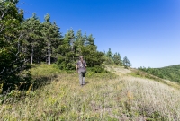 Porcupine Mountains 2014