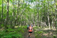 Porcupine Mountains 2014