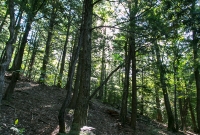 Porcupine Mountains 2014