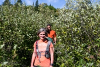 Porcupine Mountains 2014