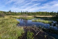 Porcupine Mountains 2014