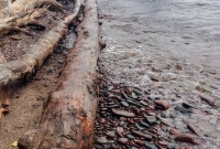 Porcupine Mountains 2014