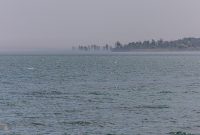 Port-Austin-19