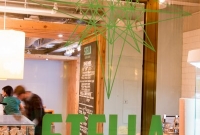 Stella Coffee - Fisher Building