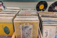 Record-Stores-Detroit-Suburbs-2023-69