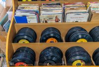 Record-Stores-Detroit-Suburbs-2023-79