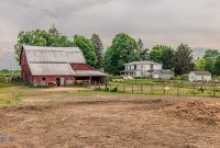 Red-Horse-Center-Fennville-2024-30