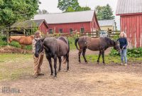 Red-Horse-Center-Fennville-2024-38