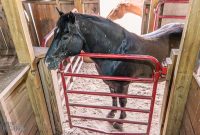 Red-Horse-Center-Fennville-2024-45