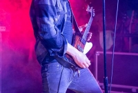 Reignwolf