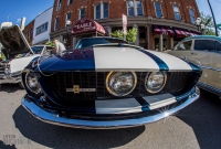 Rolling Sculpture 2017-44