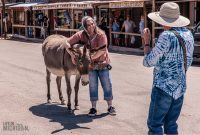 Route66-Campervan-Adventure-15