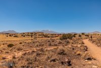 Route66-National-Parks-and-Monuments-23