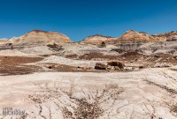 Route66-National-Parks-and-Monuments-53