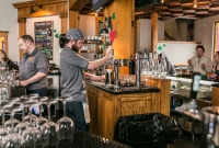 Salt Springs Brewing - 2016-7