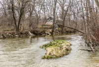 Salt Springs Brewing -32