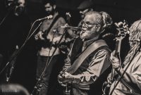 SaveTheSpeakeasy-ChrisBuhalis-CarpenterAnts-2024-68
