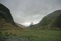 bog at the foot of Steall Falls