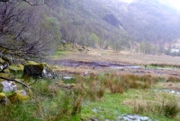 The dreaded bog of Steall