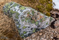 Hike with Kingdom Guides-15