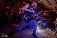 Shock-Narcotic-2019-9