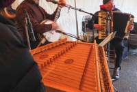 Picks and Sticks band