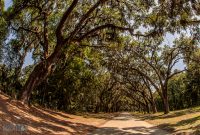 Southern-Vacation-2021-108