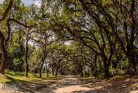 Southern-Vacation-2021-109