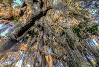 Southern-Vacation-2021-114