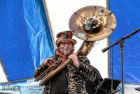Strapping Owls - Traverse City Microbrew Fest 2017