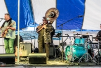Strapping Owls - Traverse City Microbrew Fest 2017